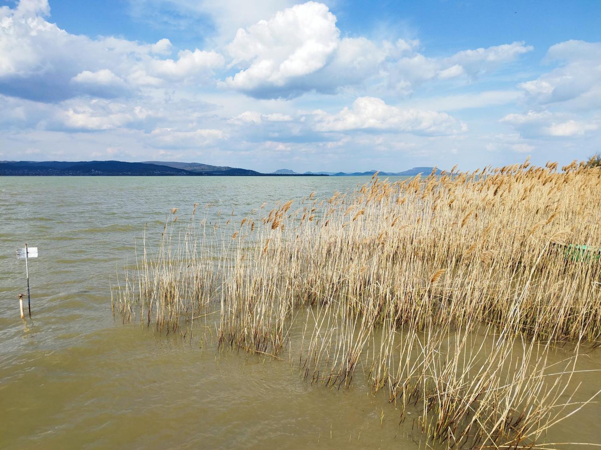 Balatonberény Margareta Etterem Es Vendeghaz Gasthaus المظهر الخارجي الصورة